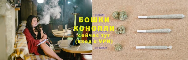 дурь Осинники